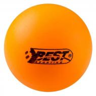Мячи для настольного тенниса BEST 6 шт. Оранжевый (23101)