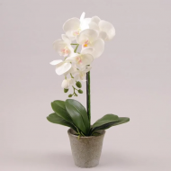 Искусственная Орхидея в горшке Flora 55 см (72681) Искусственная Орхидея в горшке Flora 55 см (72681)
