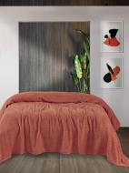 Простынь Iris Home махровая Paprika 155х220 (svt-2000022280693) Простынь Iris Home махровая Paprika 155х220 (svt-2000022280693)