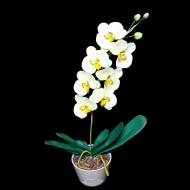 Искусственные цветы Flora Орхидея в горшке Белый/Желтый (s1001) Искусственные цветы Flora Орхидея в горшке Белый/Желтый (s1001)