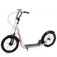 Самокат iTrike SR 2-045-2-W White Самокат iTrike SR 2-045-2-W White