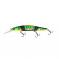 green fire tiger